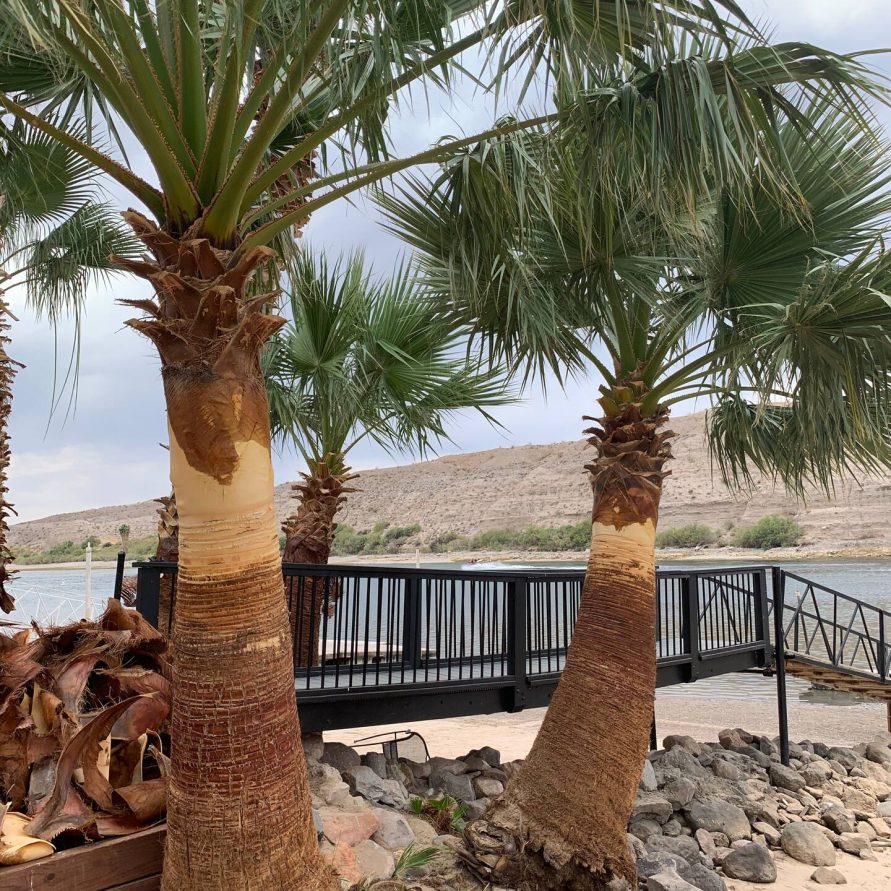 Outdoor picnic patio at The Haven River Lodge
