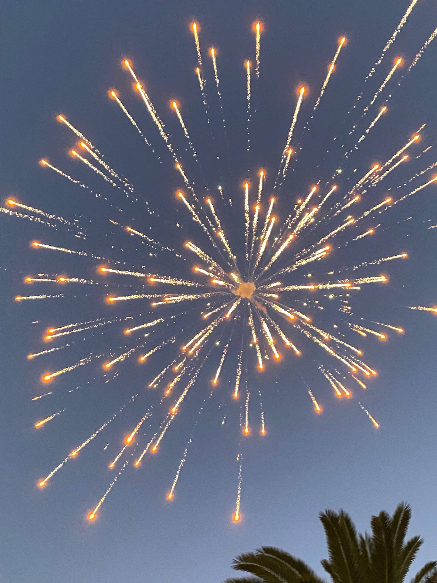 Fireworks display over the Colorado River near The Haven River Lodge
